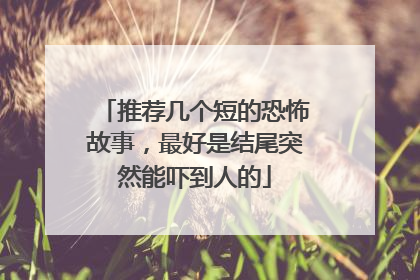 推荐几个短的恐怖故事，最好是结尾突然能吓到人的