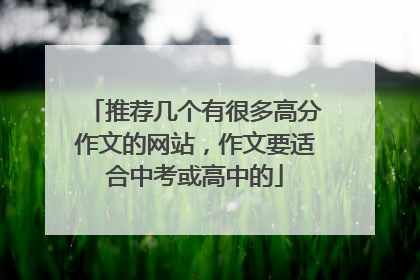 推荐几个有很多高分作文的网站，作文要适合中考或高中的