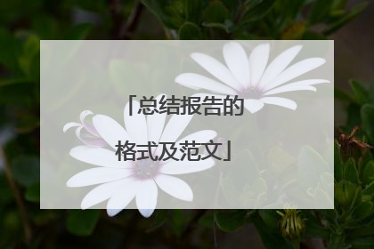 总结报告的格式及范文