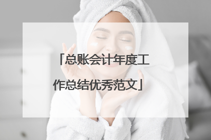 总账会计年度工作总结优秀范文