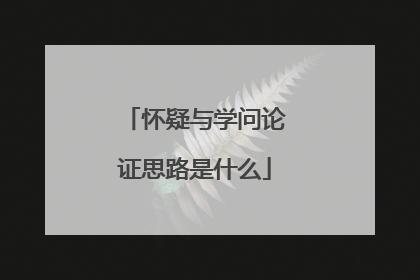 怀疑与学问论证思路是什么