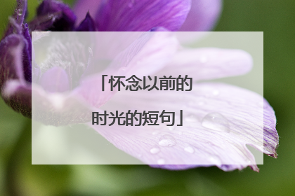 怀念以前的时光的短句