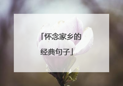 怀念家乡的经典句子