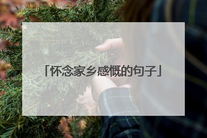 怀念家乡感慨的句子