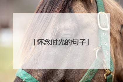 怀念时光的句子