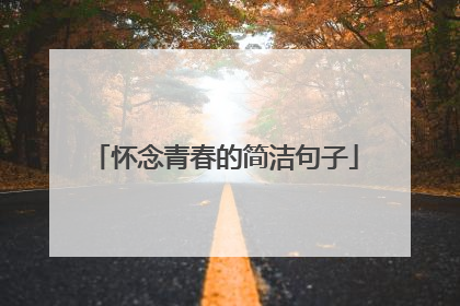 怀念青春的简洁句子