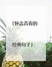 怀念青春的经典句子