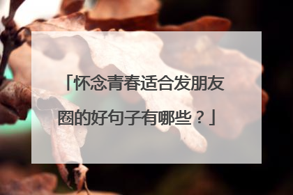 怀念青春适合发朋友圈的好句子有哪些？