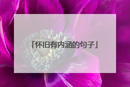 怀旧有内涵的句子