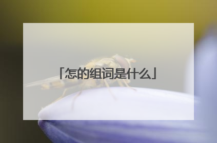 怎的组词是什么