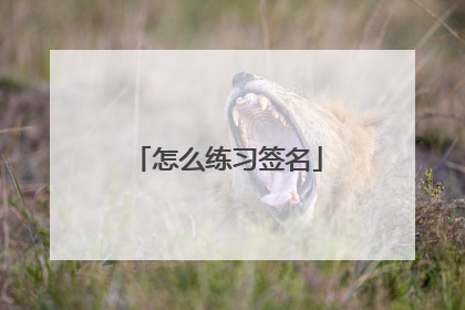 怎么练习签名