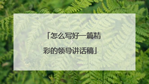 怎么写好一篇精彩的领导讲话稿