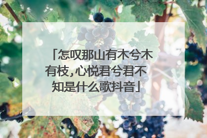 怎叹那山有木兮木有枝,心悦君兮君不知是什么歌抖音