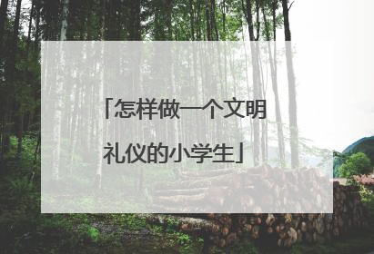 怎样做一个文明礼仪的小学生