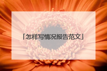 怎样写情况报告范文