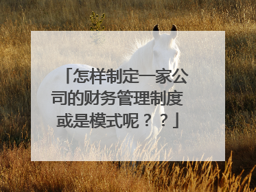 怎样制定一家公司的财务管理制度或是模式呢??