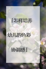 怎样培养幼儿的色彩协调感