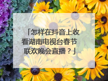 怎样在抖音上收看湖南电视台春节联欢晚会直播？