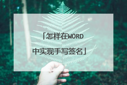 怎样在WORD中实现手写签名