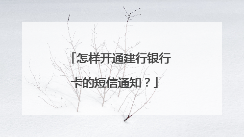 怎样开通建行银行卡的短信通知？