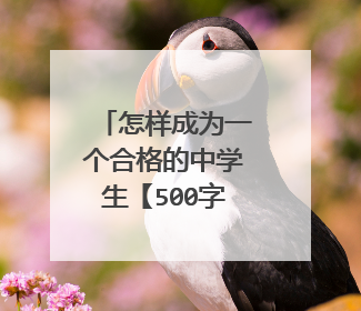 怎样成为一个合格的中学生【500字以上】