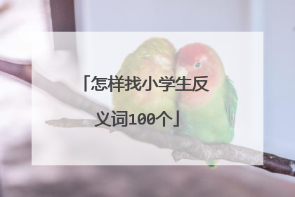 怎样找小学生反义词100个