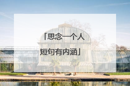 思念一个人短句有内涵