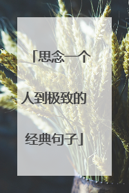 思念一个人到极致的经典句子