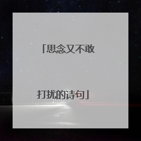 思念又不敢打扰的诗句