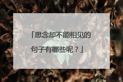 思念却不能相见的句子有哪些呢？