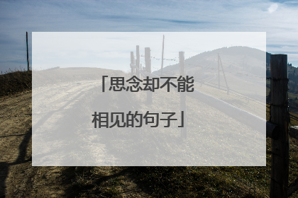 思念却不能相见的句子