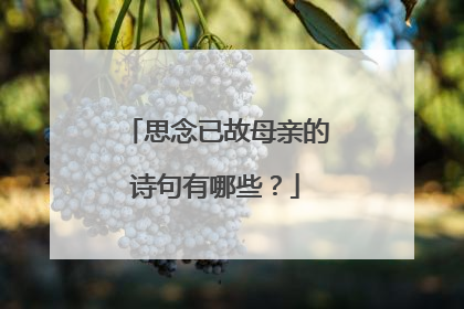 思念已故母亲的诗句有哪些？