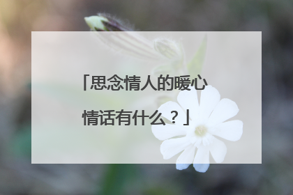 思念情人的暖心情话有什么？