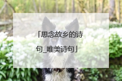 思念故乡的诗句_唯美诗句