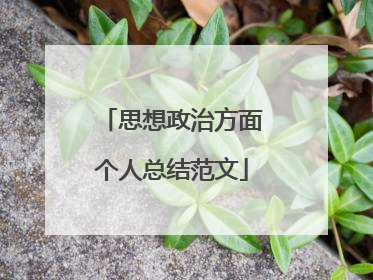 思想政治方面个人总结范文