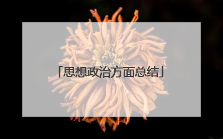 思想政治方面总结