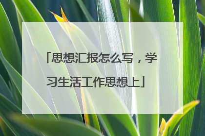 思想汇报怎么写，学习生活工作思想上