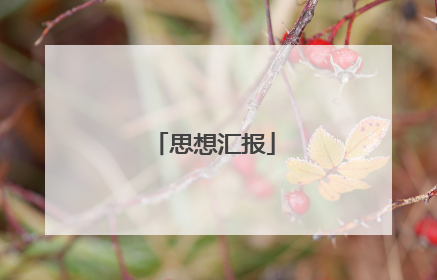 思想汇报
