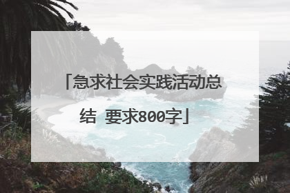 急求社会实践活动总结 要求800字