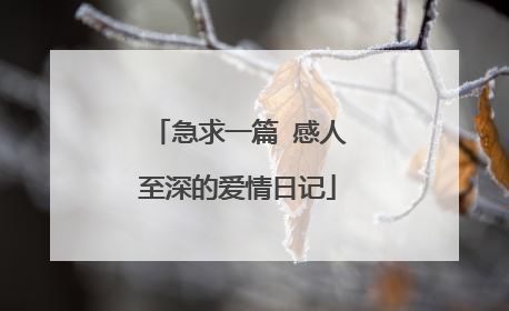 急求一篇 感人至深的爱情日记