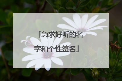 急求好听的名字和个性签名