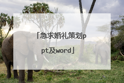 急求婚礼策划ppt及word