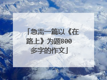 急需一篇以《在路上》为题800多字的作文