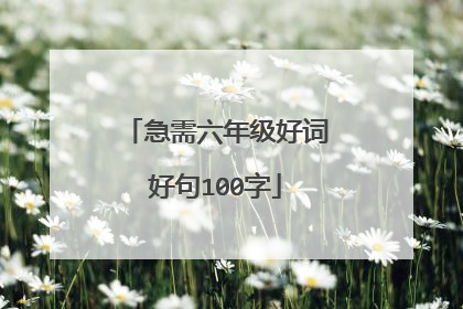 急需六年级好词好句100字