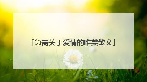 急需关于爱情的唯美散文