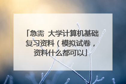 急需 大学计算机基础 复习资料（模拟试卷， 资料什么都可以