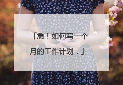 急！如何写一个月的工作计划．