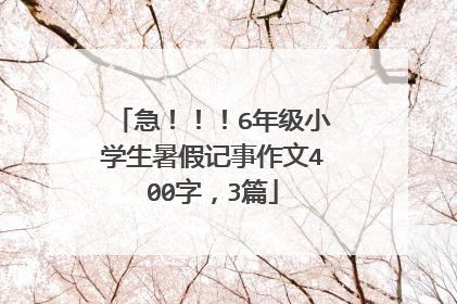 急！！！6年级小学生暑假记事作文400字，3篇