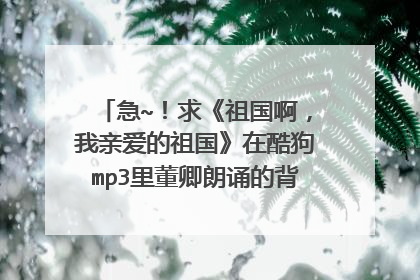 急~！求《祖国啊，我亲爱的祖国》在酷狗mp3里董卿朗诵的背景音乐~~！