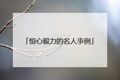 恒心毅力的名人事例